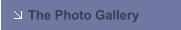 The Photo Gallery